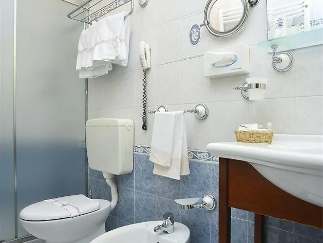 Zanhotel Europa Отель 4*